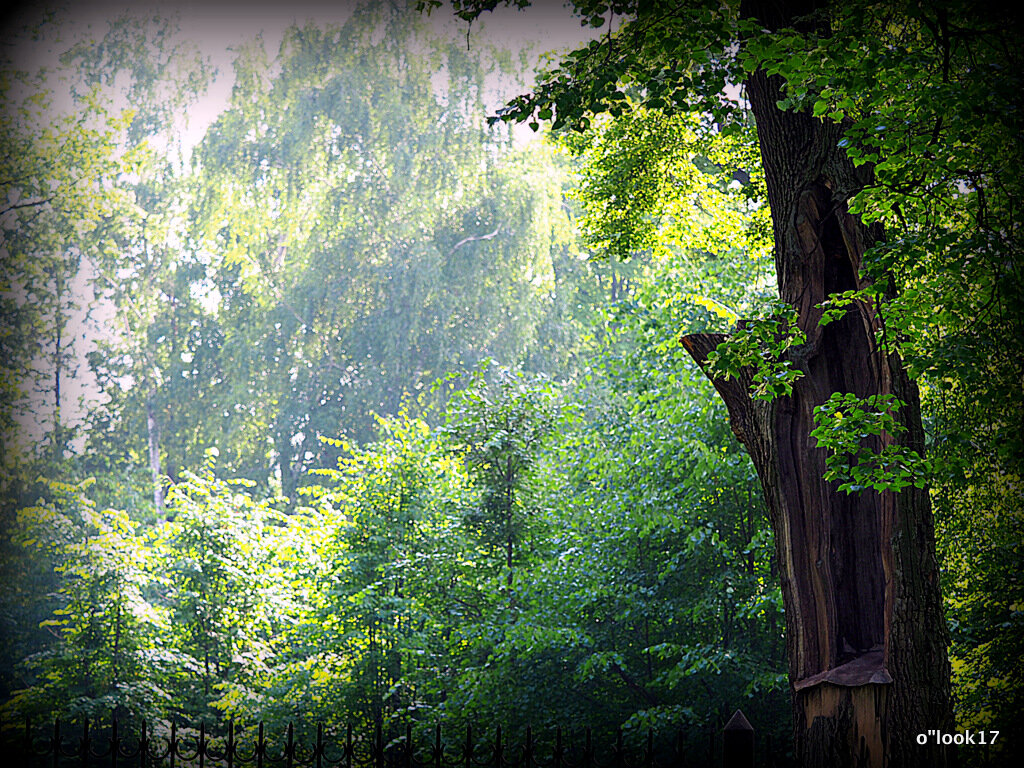 природа шепчет - Олег Лукьянов