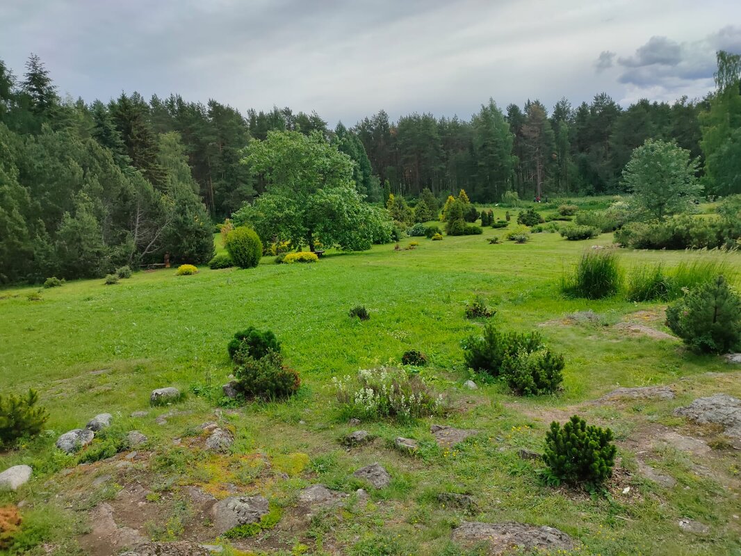 В Ботаническом саду Петрозаводска - Ирэн 