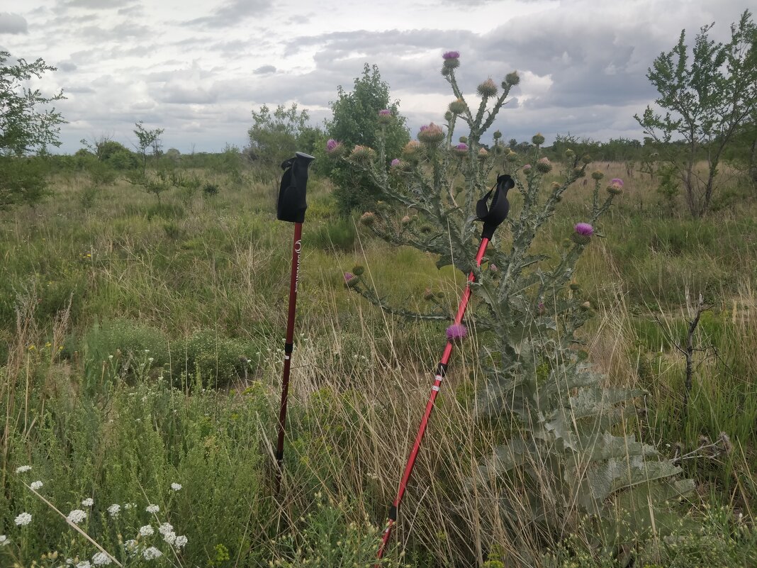 Ходите друзья,ходите... - Андрей Хлопонин