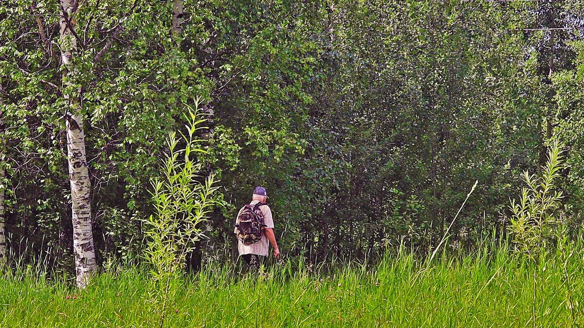 Июль...В лесной поход! - Владимир 