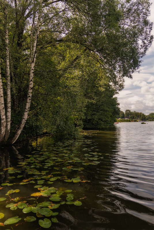 у озера - Michel 