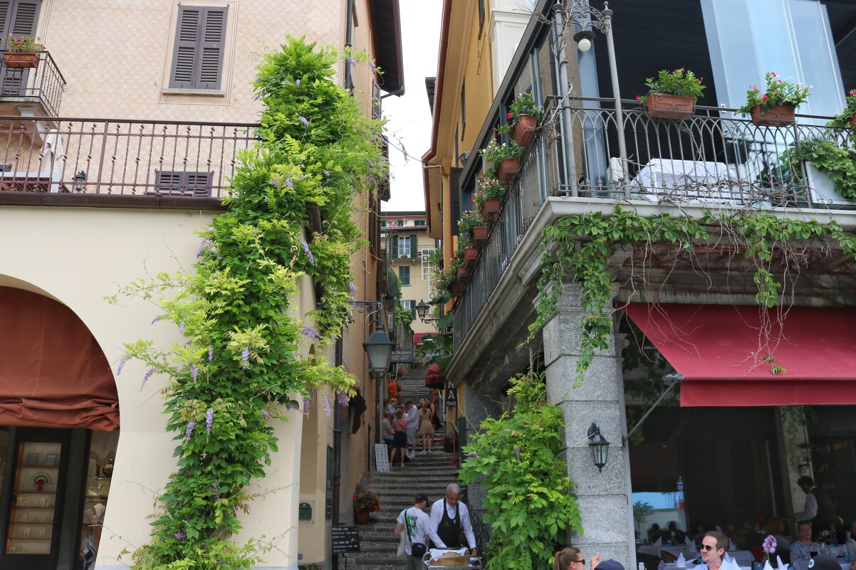 Белладжио - Светлана Баталий