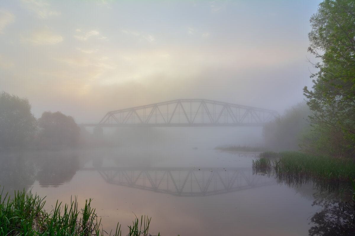 **** - Виталий Емельянов
