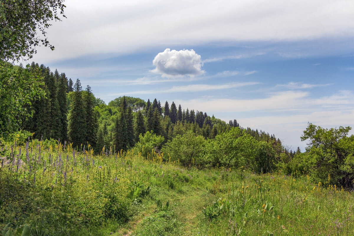 Плывёт облачко - LudMila Плывёт облачко - LudMila