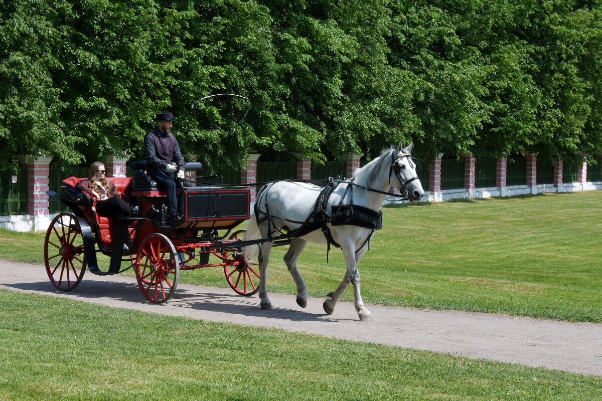 Москва. Усадьба Кусково. - Наташа *****