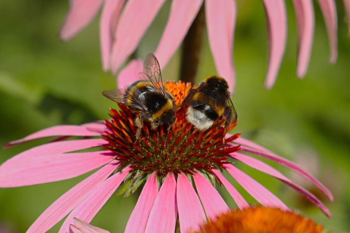 Доброе утро - Юрий. Шмаков Доброе утро - Юрий. Шмаков
