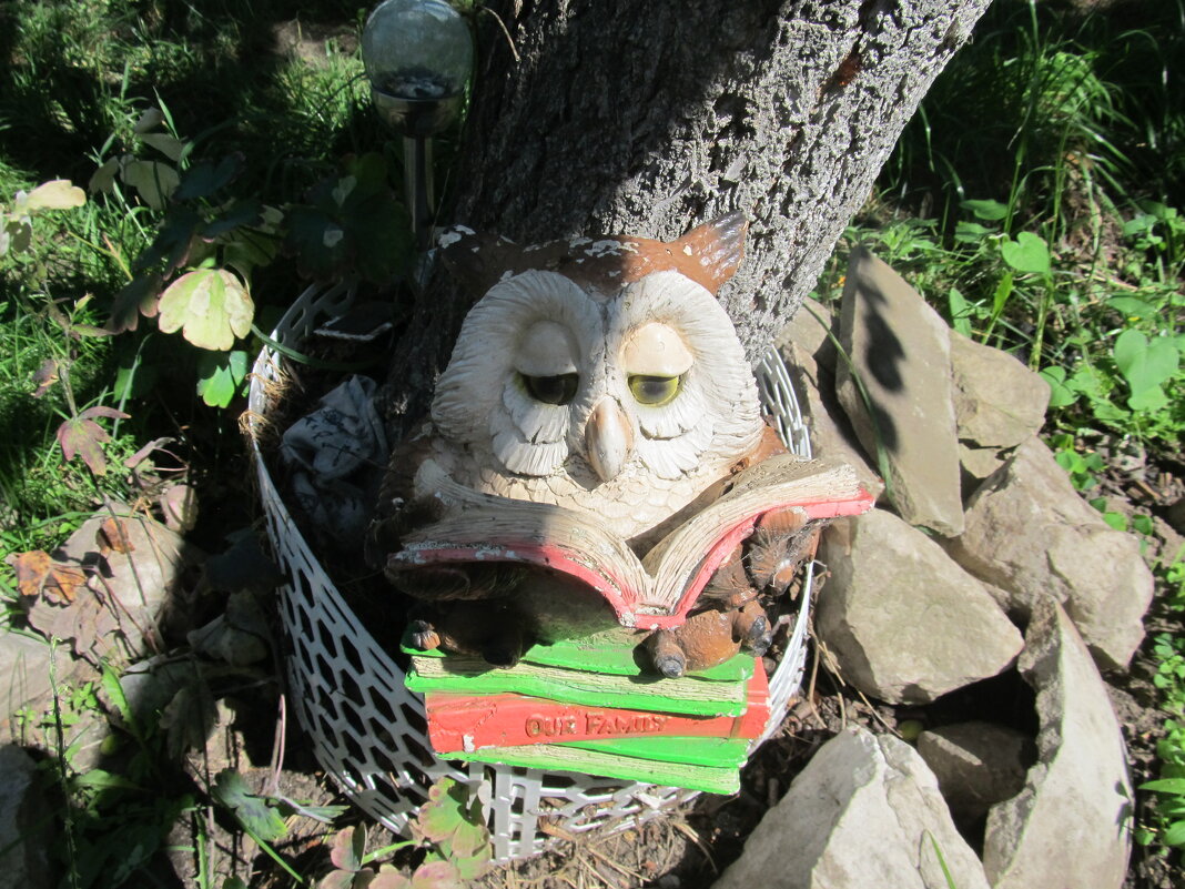 дачное - Елена Шаламова