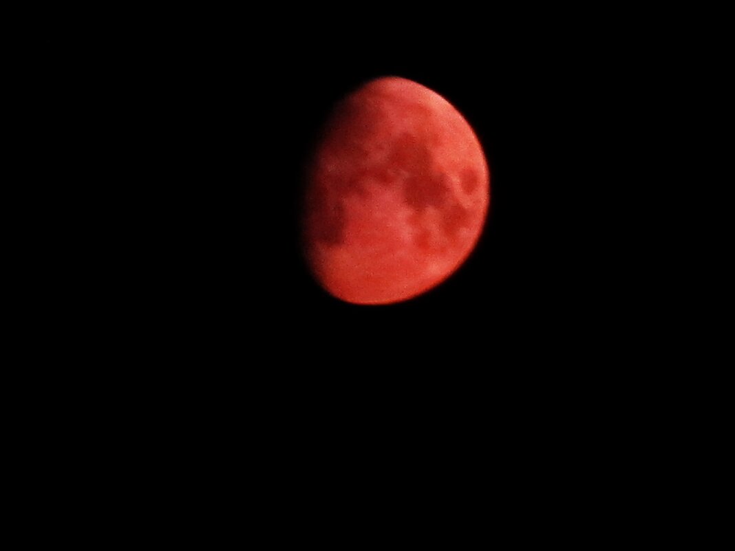 луна - Елена Шаламова