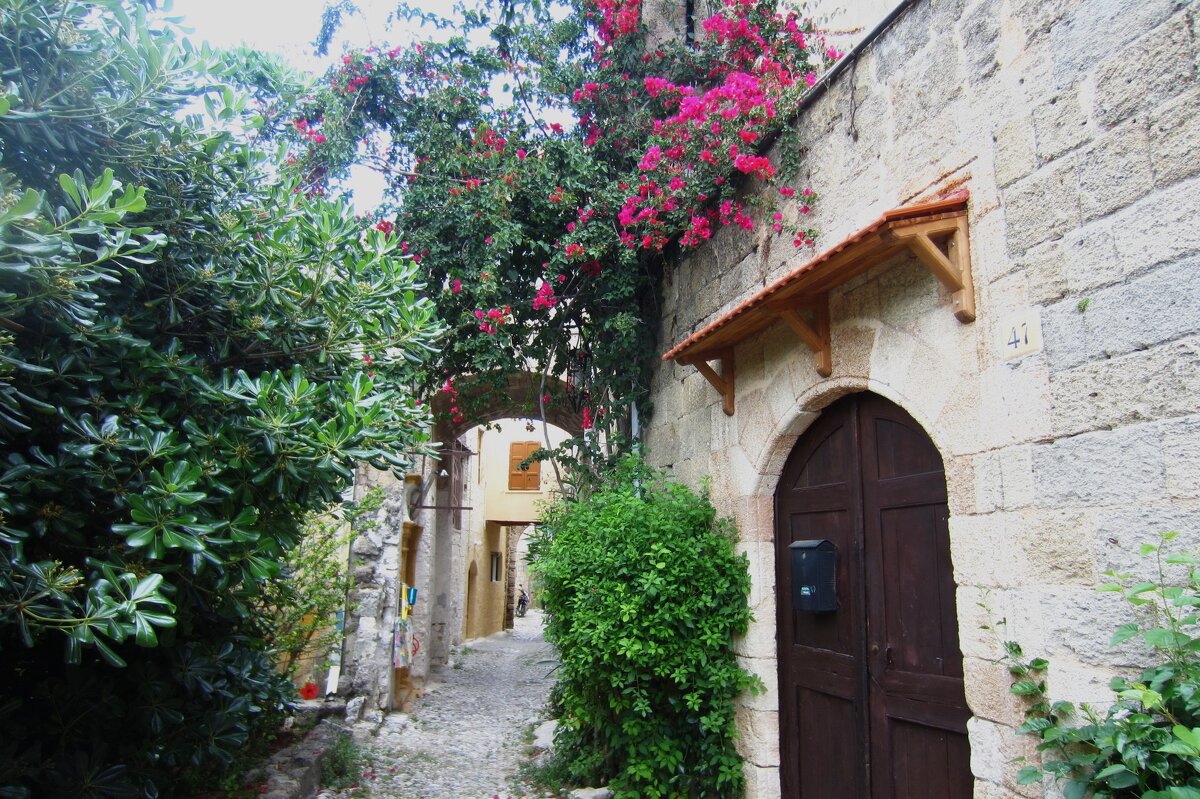 Улица - Натали 