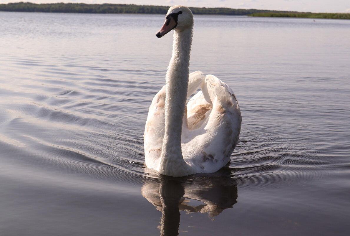 Себежское озеро - skijumper Иванов