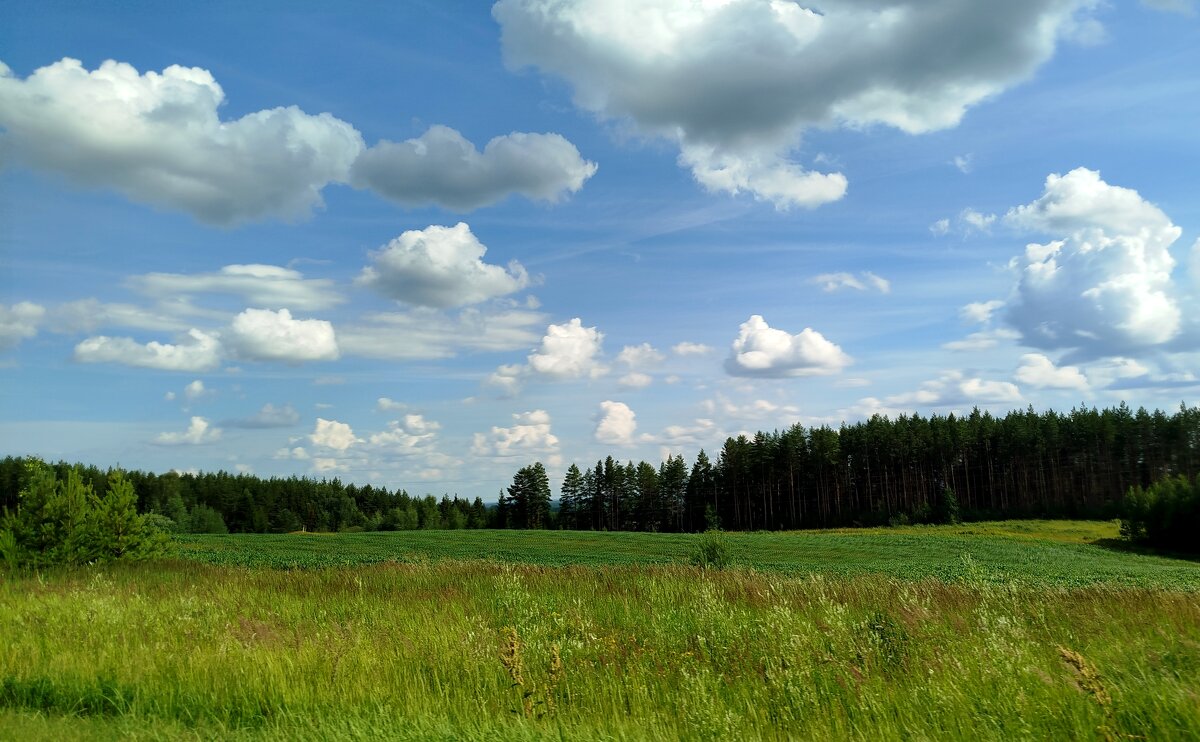 Просторы - светлана льдокова