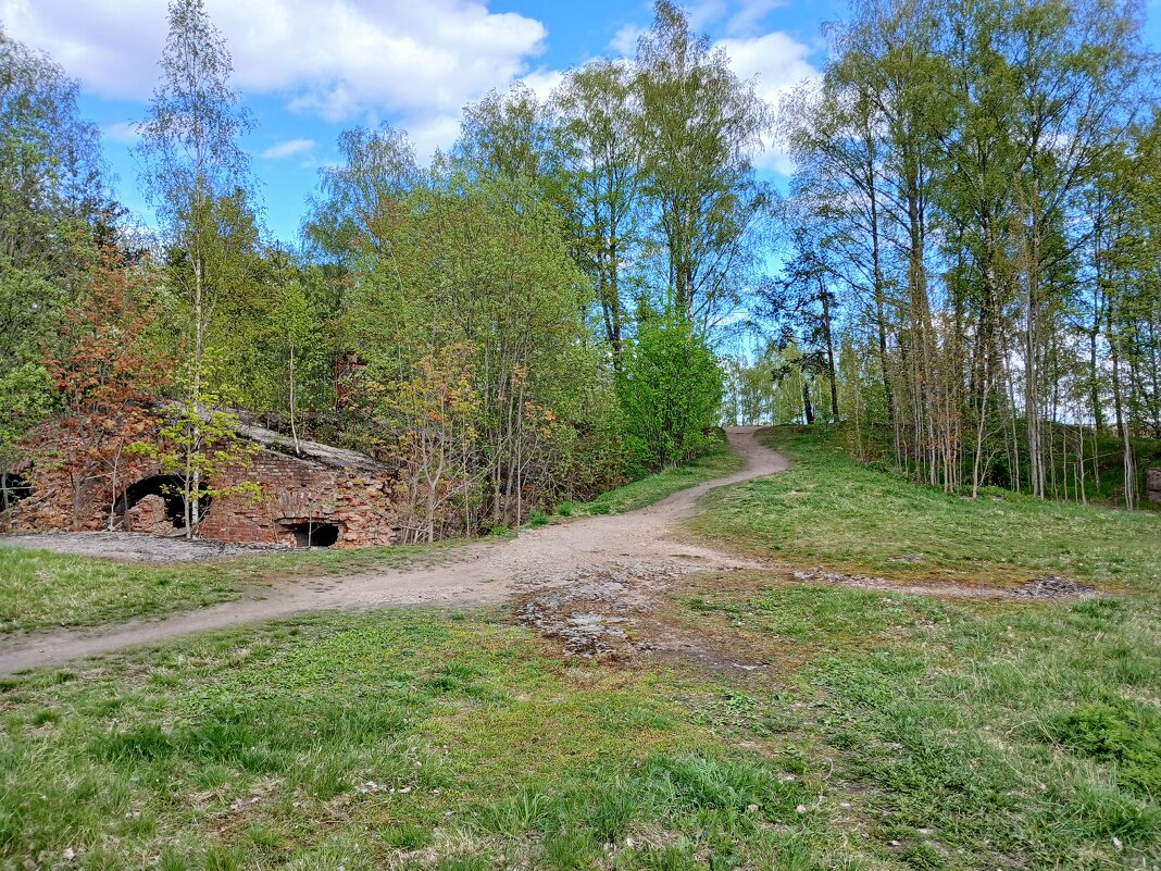 ВПКиО с остатками Восточно-Выборгских укреплений. - Лия ☼ ВПКиО с остатками Восточно-Выборгских укреплений. - Лия ☼