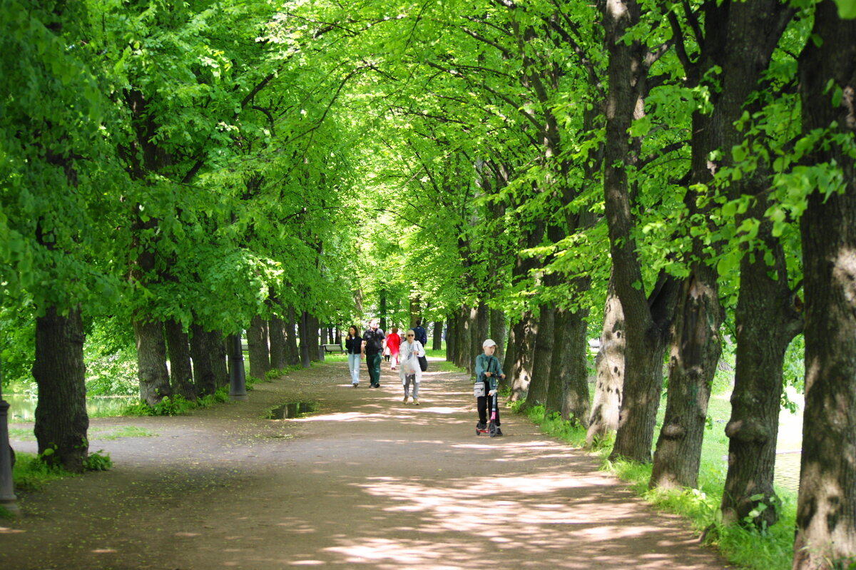ПАРК ПОБЕДЫ - Виктор Никитенко