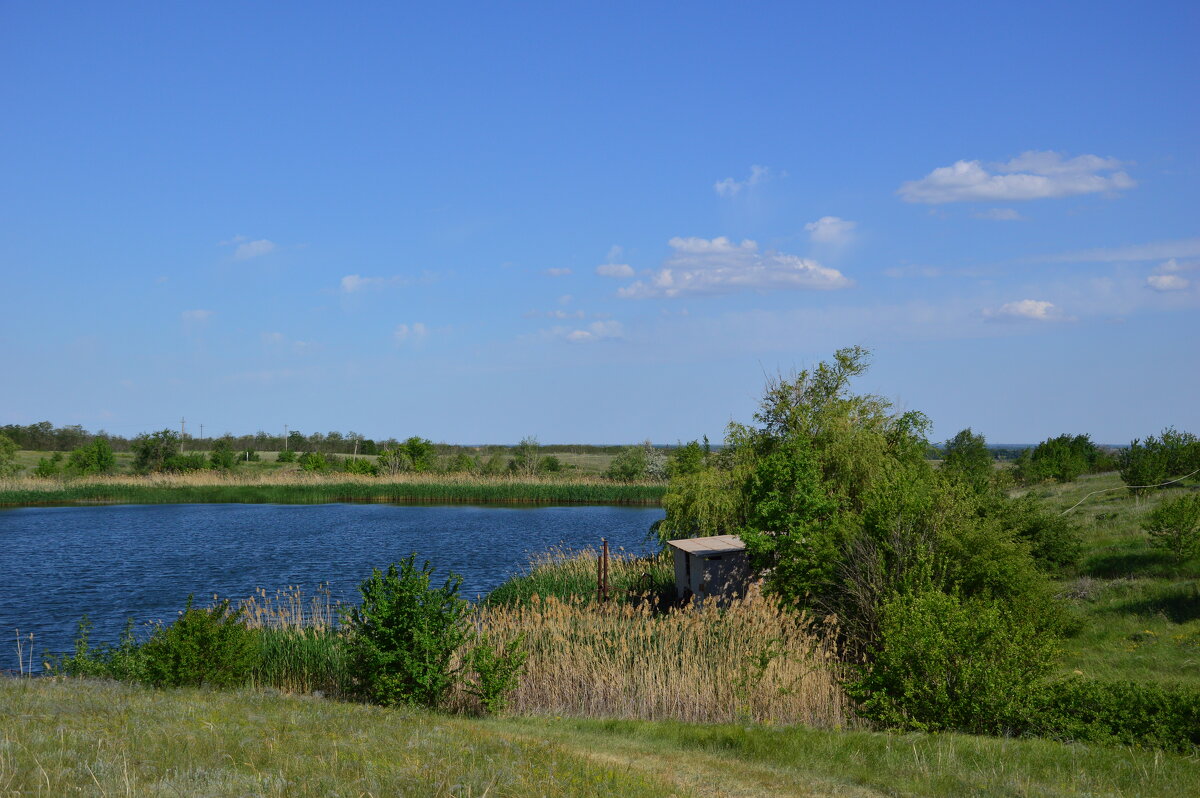 *** - Виктор *** - Виктор