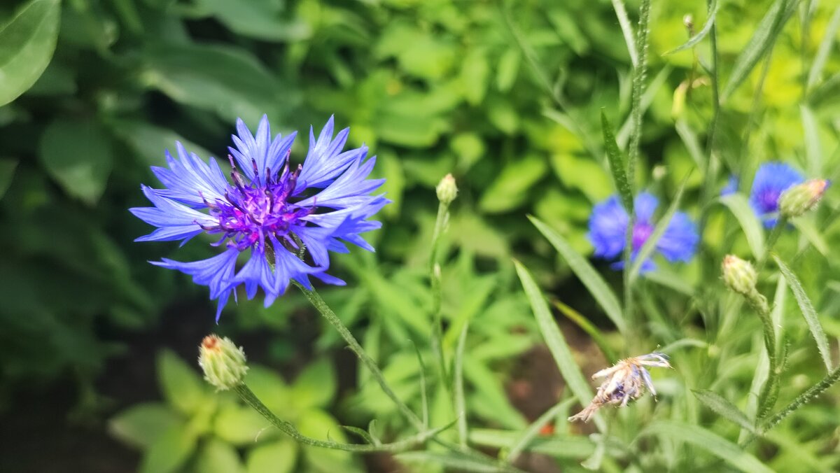 ,,,, - Сергей Тимоновский