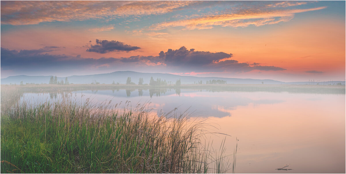 *** - Алексей Мезенцев