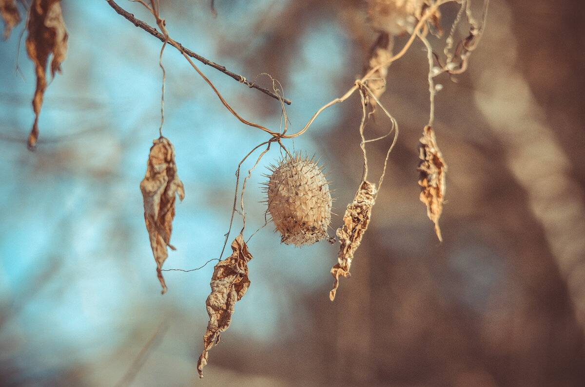 *** - Виктор Иванович Чернюк