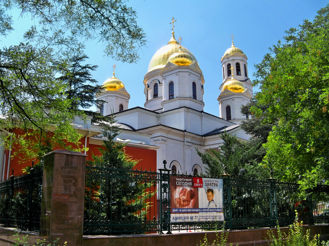 Собор  АлександраНевского - Валентин Семчишин