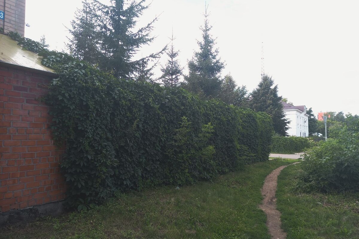 Лето, расползается. - Игорь Солдаткин