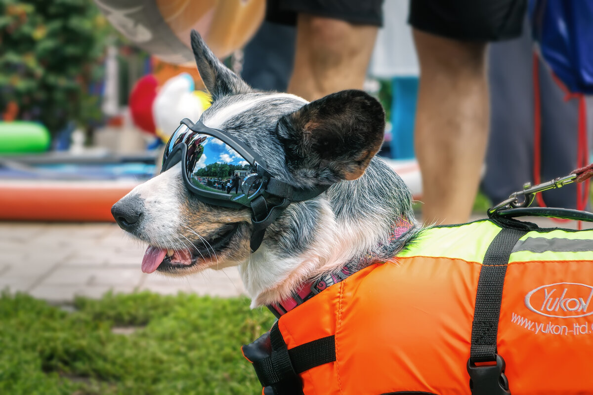 Питер. Фрагменты - Владимир Колесников