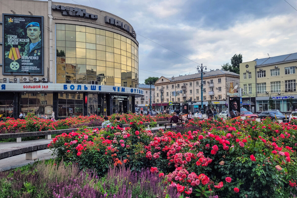 Лето в городе - Татьяна Машошина