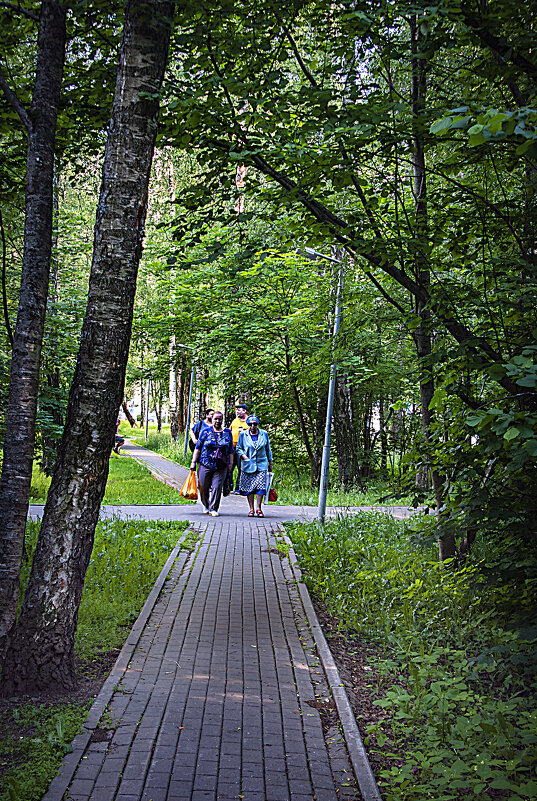 Дела, дела ... - Владимир Кроливец