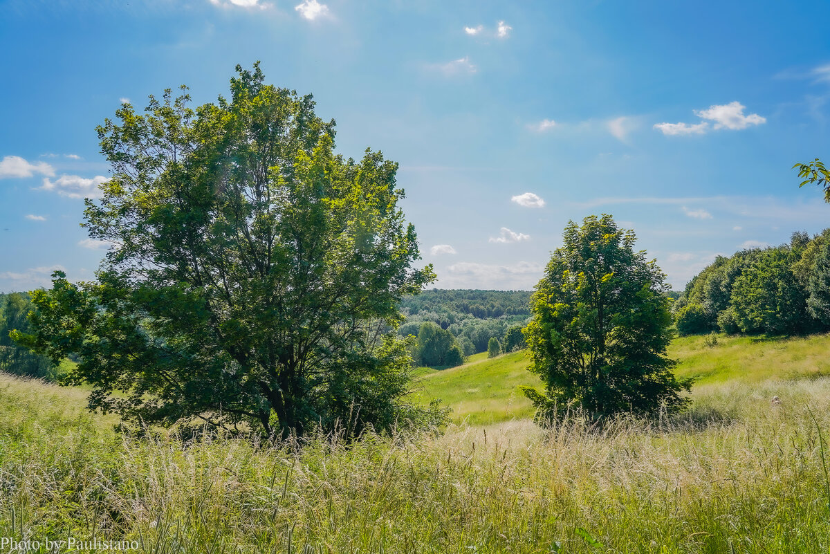Июль в Царицыно... - Владимир Жданов