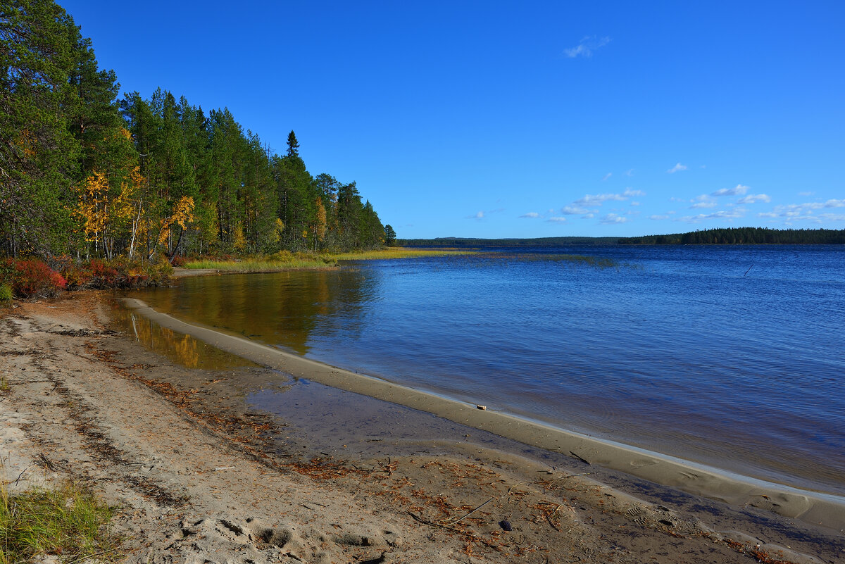 *** - Александр Хаецкий