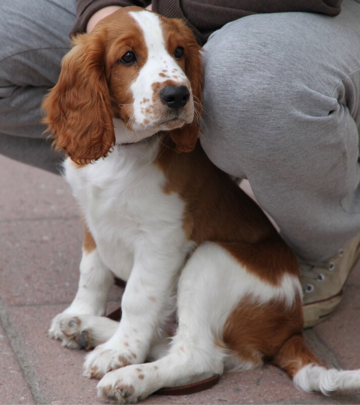 Первый год - liudmila drake