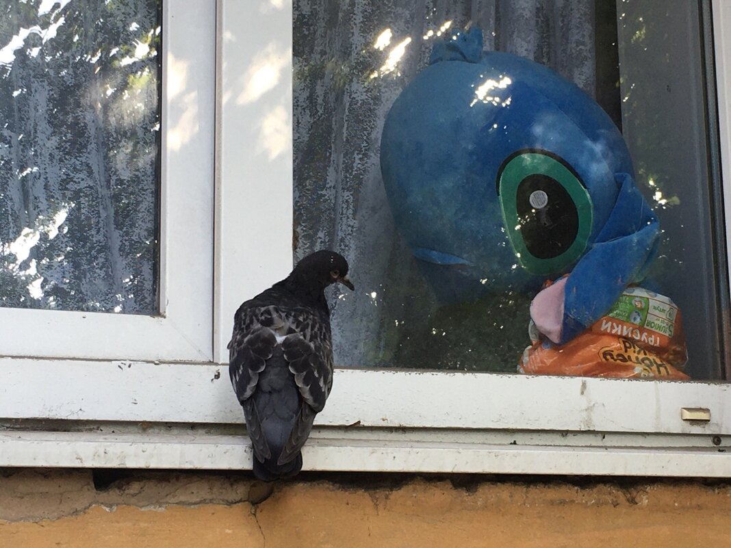 Привет, красавчег! Давай знакомиться... - Владимир Павлов