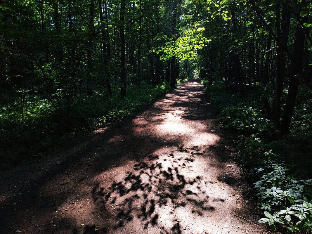 Жарко, конечно, но в парке всё же не +35 - Андрей Лукьянов Жарко, конечно, но в парке всё же не +35 - Андрей Лукьянов