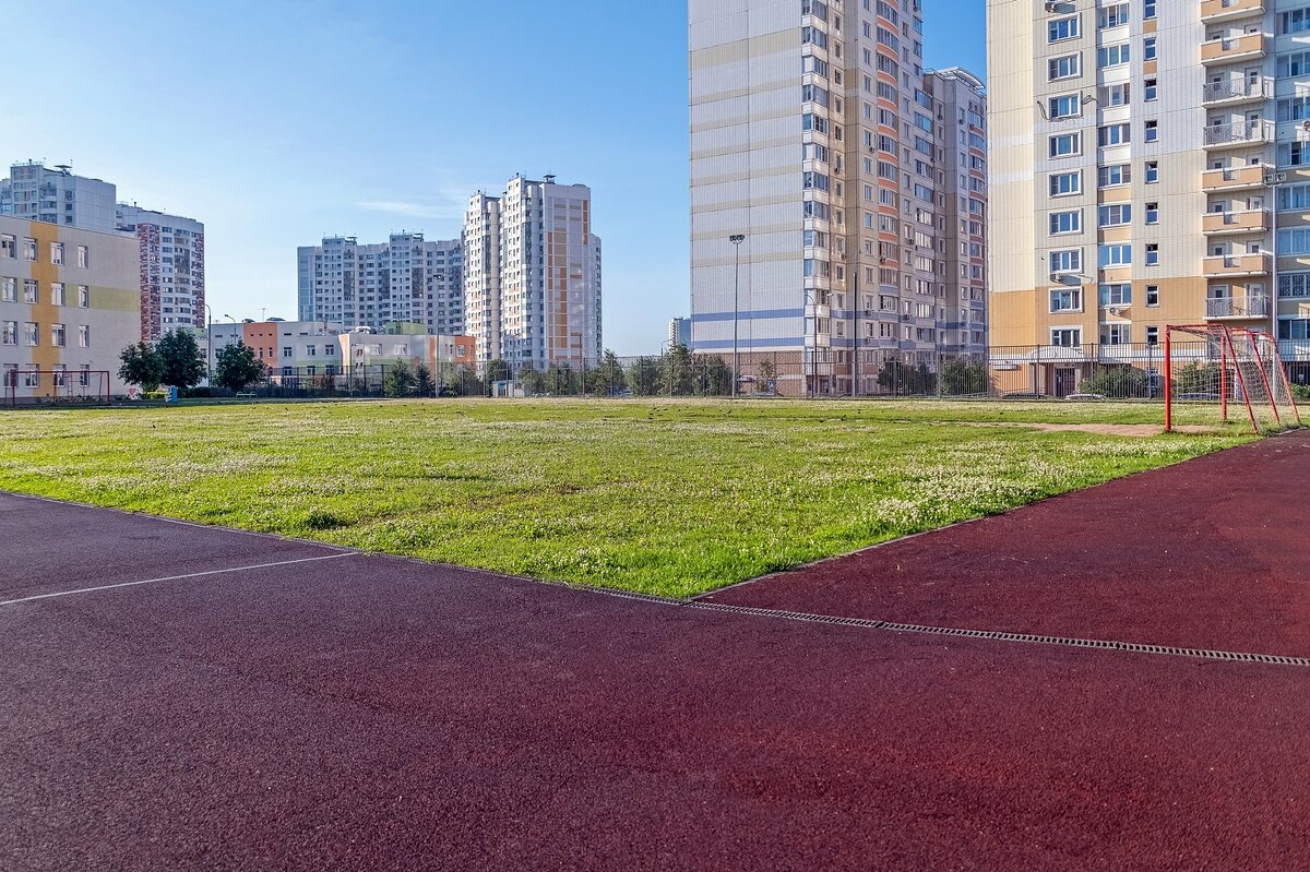 Зацвело футбольное поле у школы - Валерий Иванович