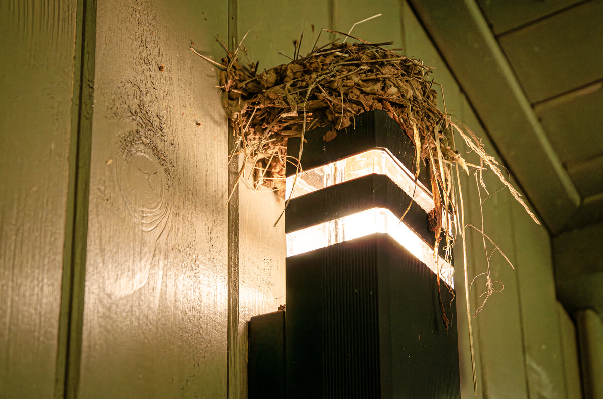 Тёплое местечко - Валерий Пославский