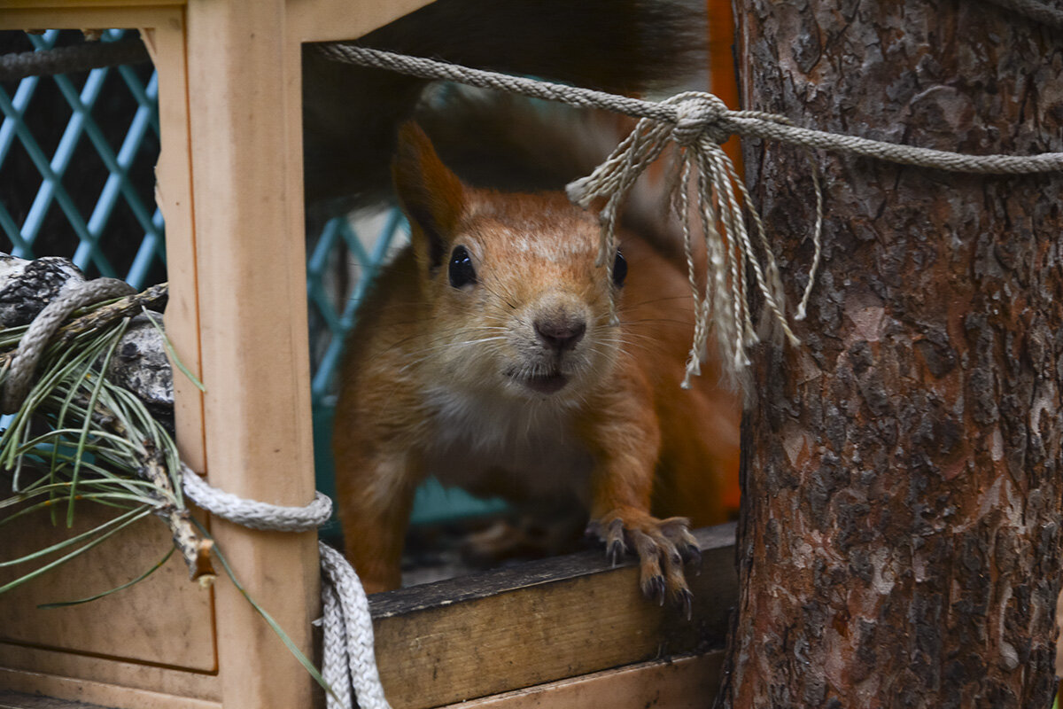 Кто там - Геннадий Супрун Кто там - Геннадий Супрун