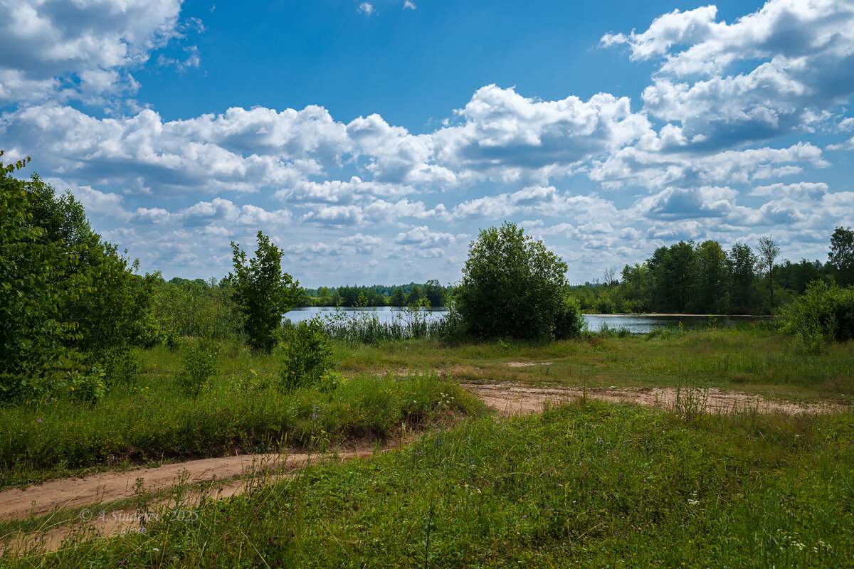 Летний тёплый пейзаж - Александр Синдерёв