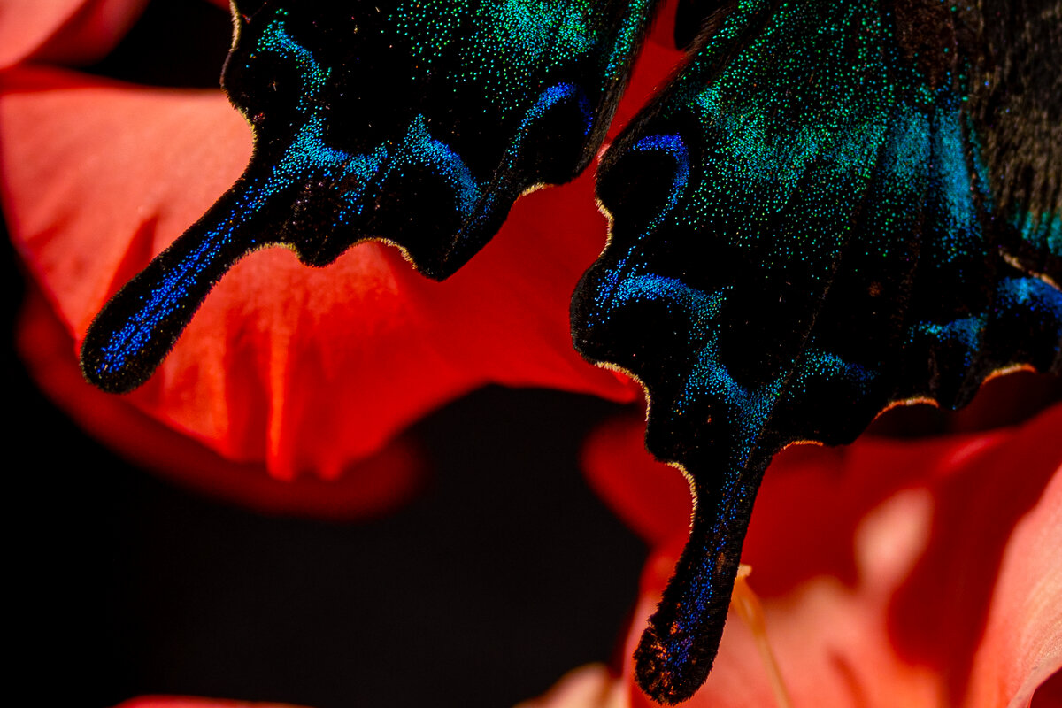 4 - Сергей Флетчер