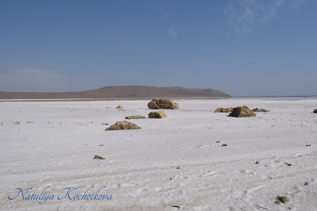 Природа Крыма - Amazing Cosmea