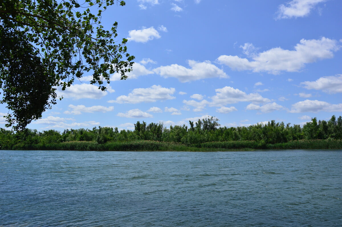 У реки. - Виктор 