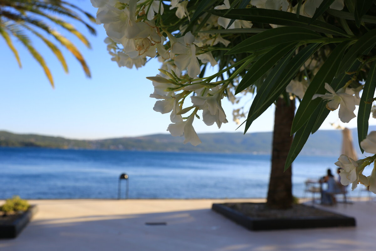 * - Евгений + * - Евгений +