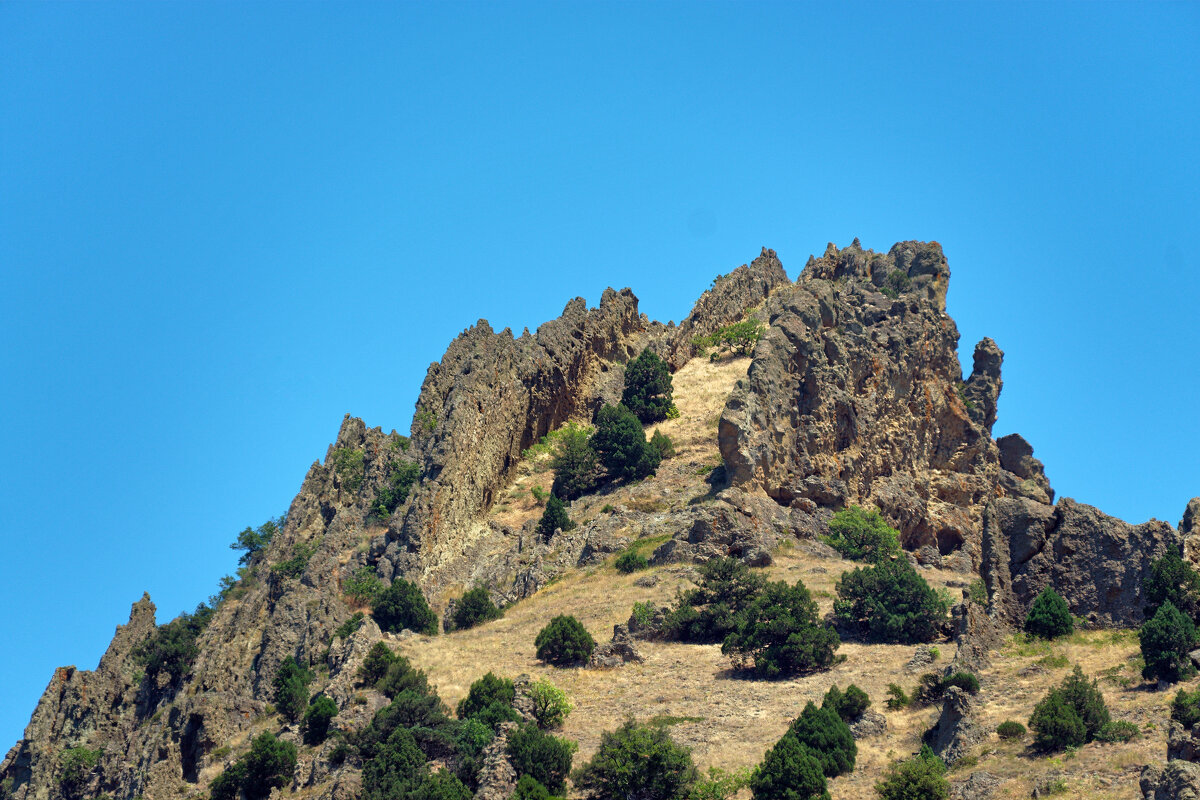 Жара - Всеволод 