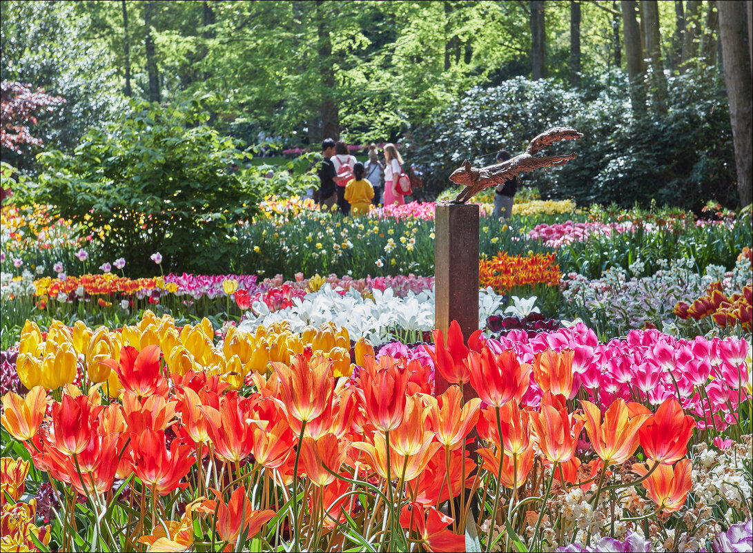 Белка парка Кекенхоф - Валерий Готлиб