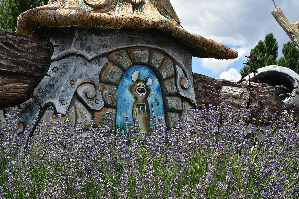 Мышка - фотограф - Александр 