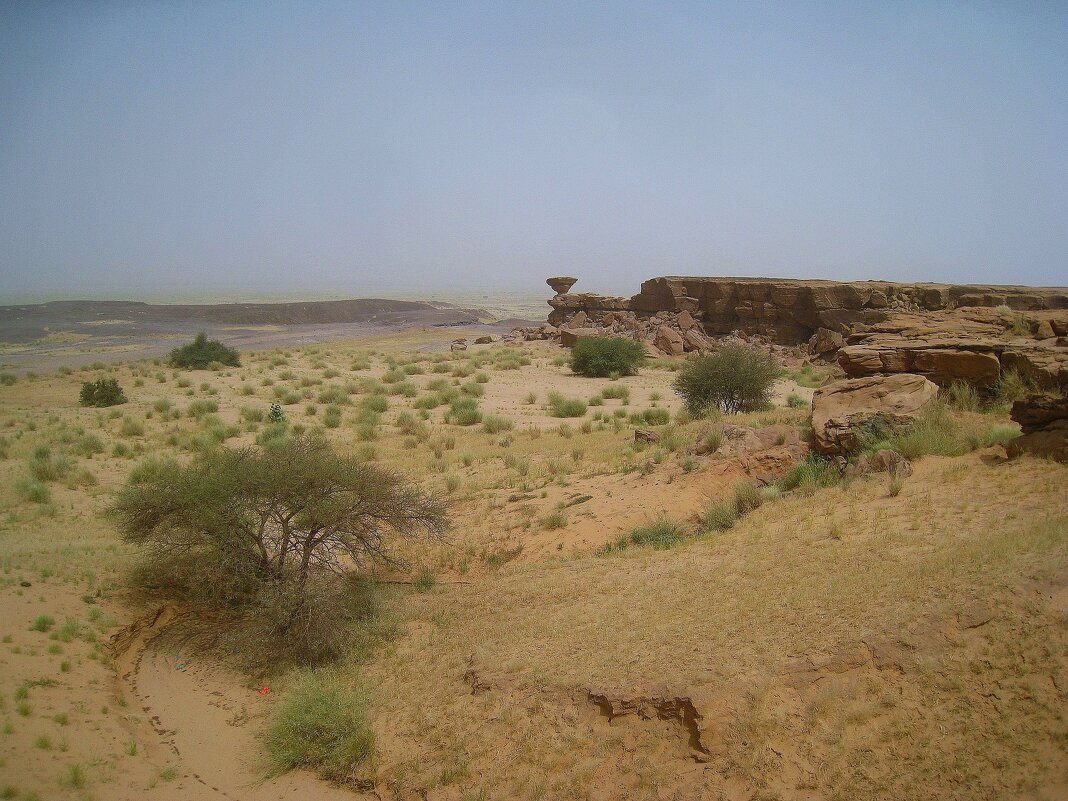 Здесь начинается пустынное плато Аир. - unix (Илья Утропов)