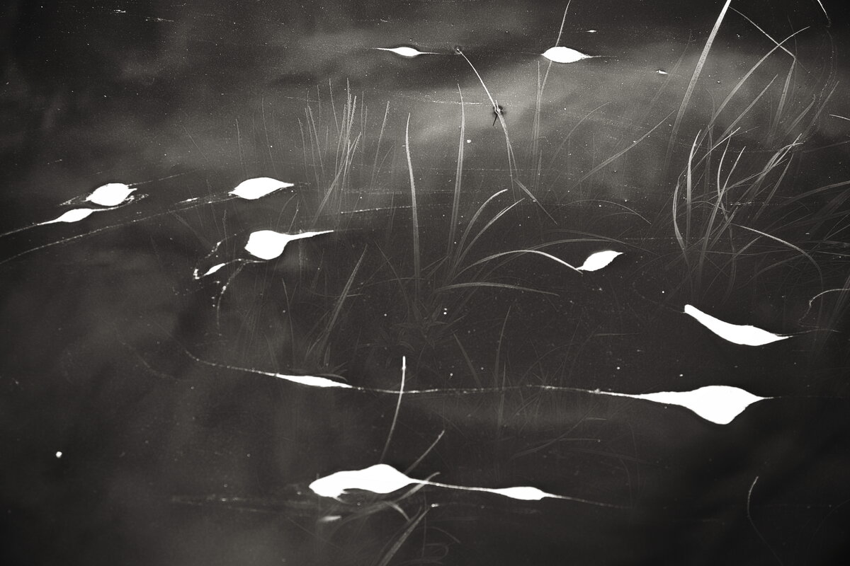 Назва. отсу. - Денис Безногов