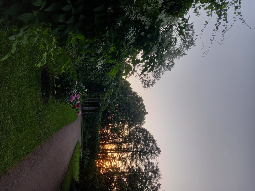 Закат - Сапсан 