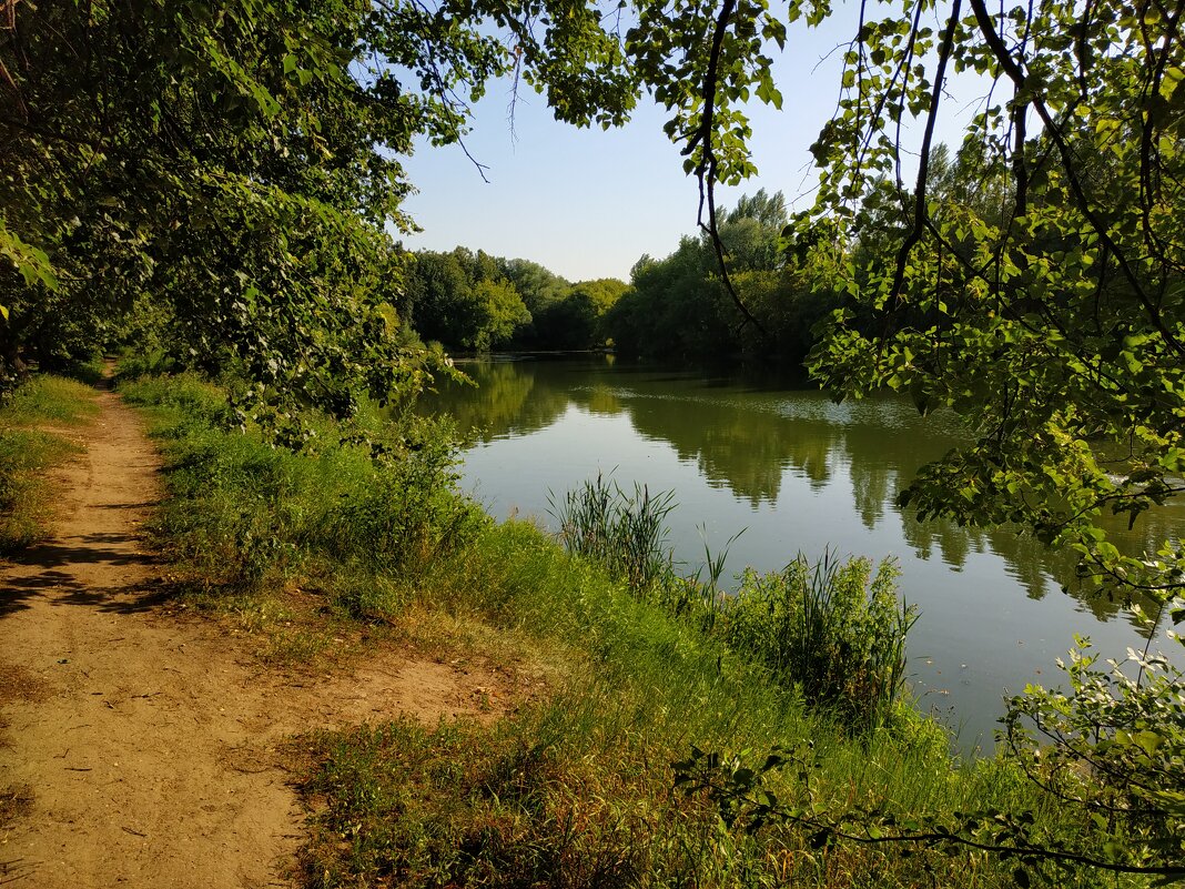 И жарко даже в тени - Андрей Лукьянов