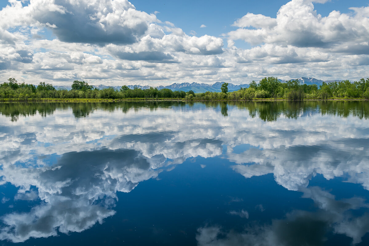 ... - Жора Житников