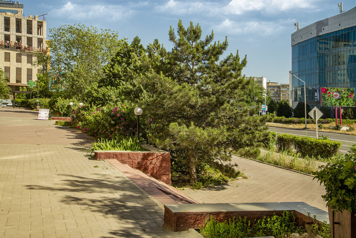 Аллея - Анатолий Чикчирный Аллея - Анатолий Чикчирный