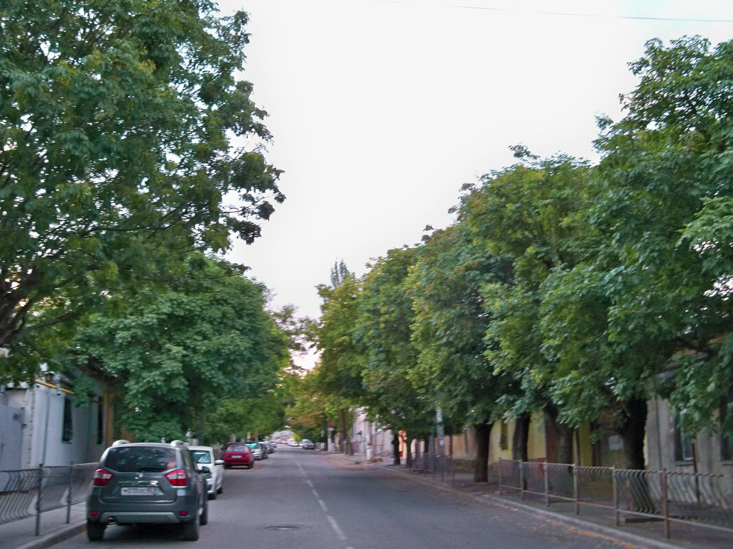 Улица Чеховався в зелени - Валентин Семчишин Улица Чеховався в зелени - Валентин Семчишин