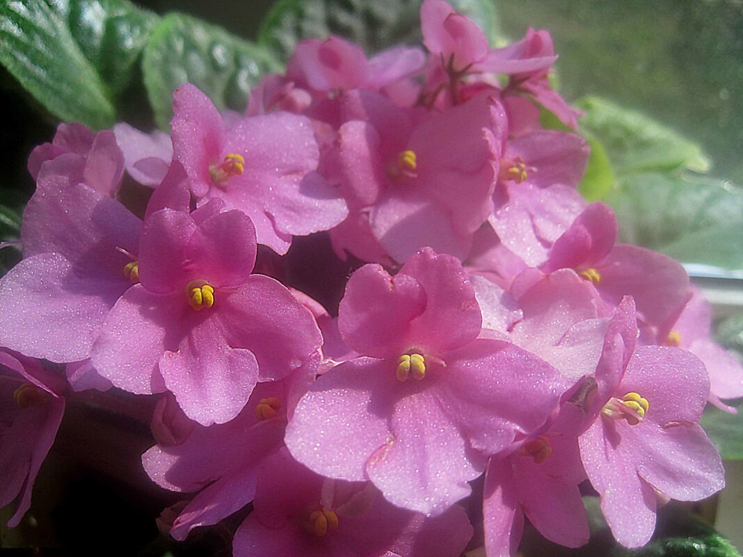 С ДНЕМ ФОТОГРАФА ВАС ПОЗДРАВЛЯЮ! СЧАСТЬЯ,УДАЧИ,ЗДОРОВЬЯ ЖЕЛАЮ! - Елена Семигина С ДНЕМ ФОТОГРАФА ВАС ПОЗДРАВЛЯЮ! СЧАСТЬЯ,УДАЧИ,ЗДОРОВЬЯ ЖЕЛАЮ! - Елена Семигина